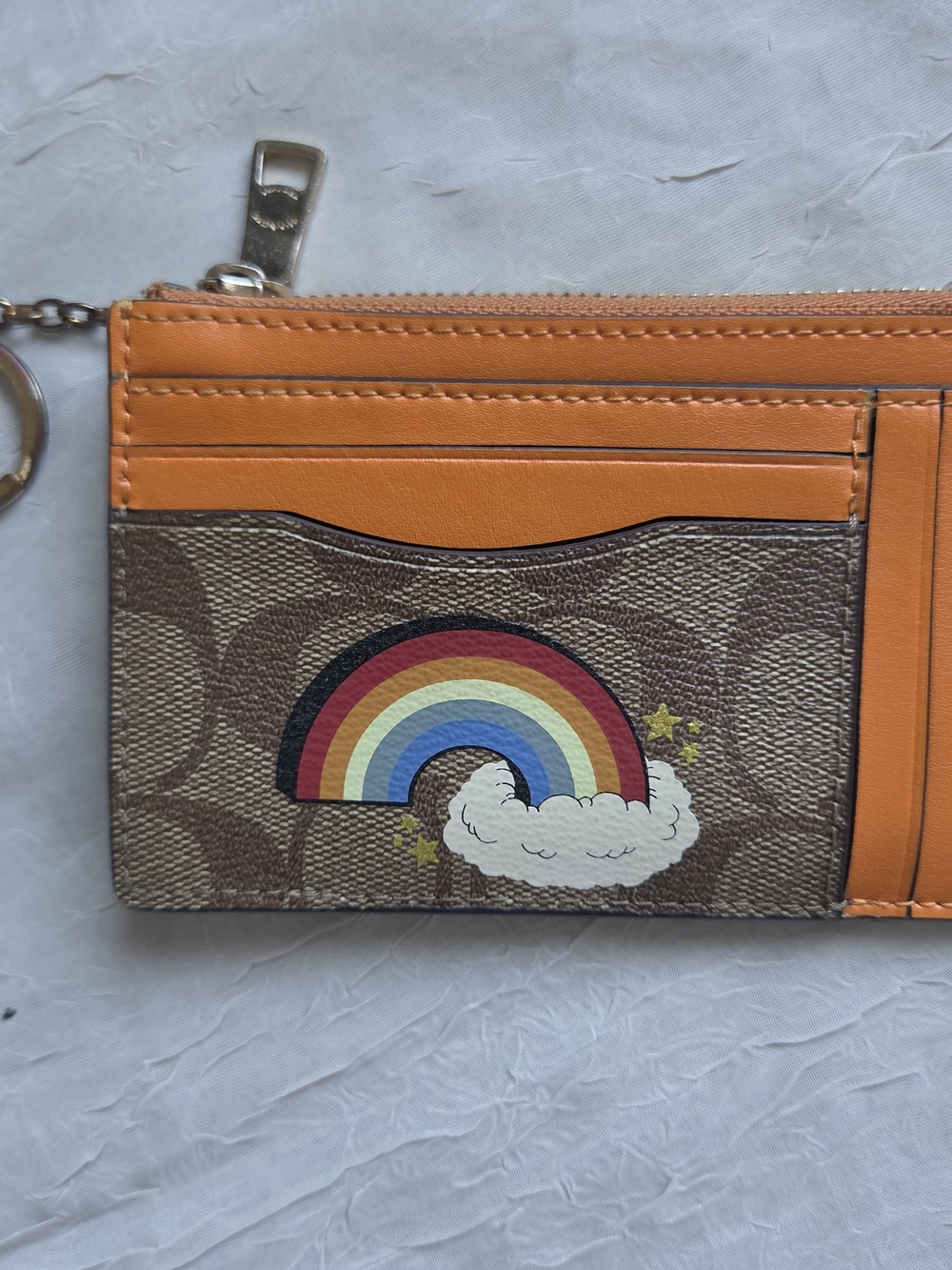 Coach Mini Skinny ID Case in Signature Canvas with Rainbow